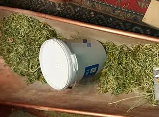 U 29-latka znaleziono 61 kilogramów marihuany
