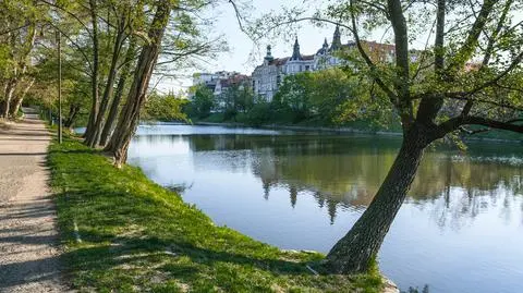 shutterstock_1407016877