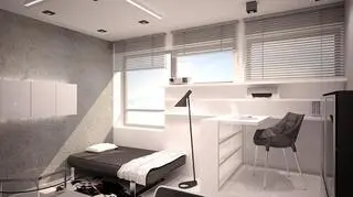 Sypialnia połączona z częścią biurową i salonem