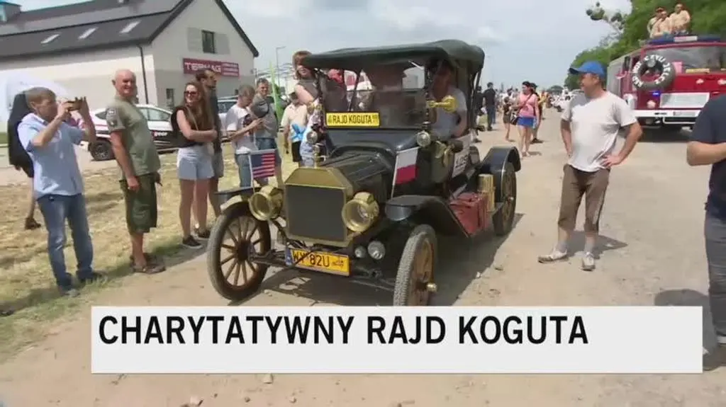 kogut2