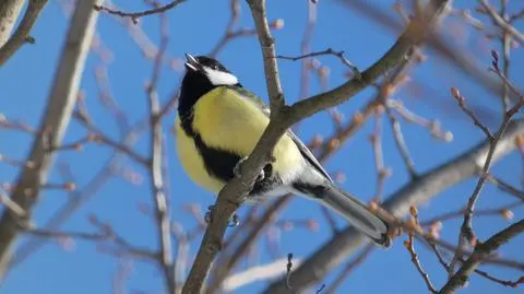 Antycyklon Jasper będzie rządził pogodą w Polsce. Co nas czeka