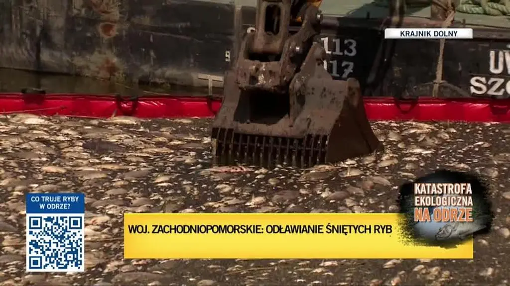 baranowski2