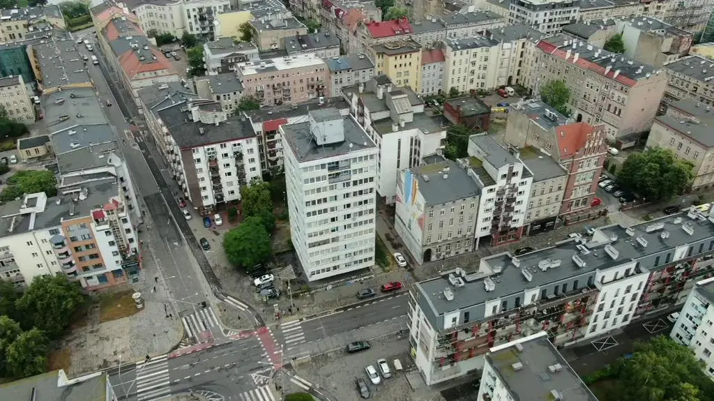 Trzonolinowiec we Wrocławiu