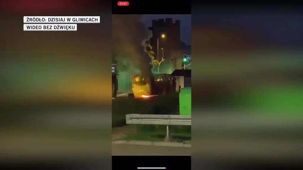 gosia wideo
