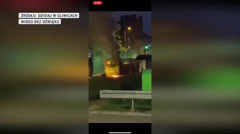 gosia wideo