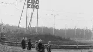 Pętla na Miłostowie