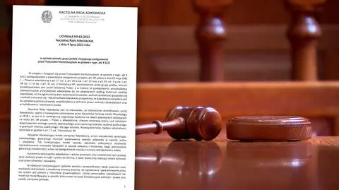 Prawnicy o "bezzasadnym i szkodliwym" wniosku grupy posłów do TK