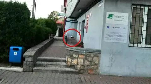 Bocian próbował wejść do urzędu. "Tłumaczyłem, że dzisiaj sobota, zamknięte"