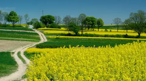 Wiemy, kiedy nastąpi zmiana pogody
