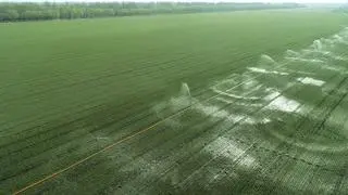 Nawadniane pola na Nizinie Chińskiej 
