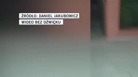 jezozwierz_1632826545377