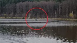 Włamywacz najpierw uciekał boso przed policjantami, potem próbował łódką przepłynąć staw 