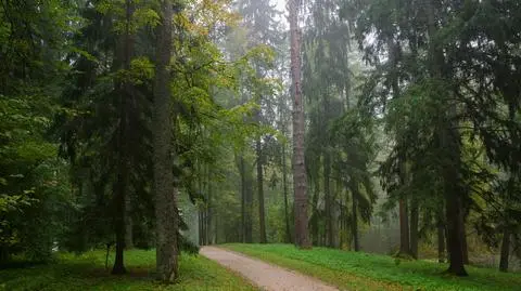 Przelotny deszcz i maksymalnie 20 stopni 