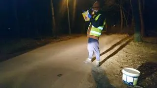 Wolontariusze liczyli i mierzyli ropuchy a później przenosili je do stawu