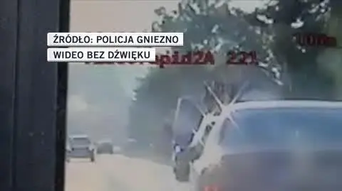 policja