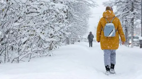 zima snieg mroz shutterstock_2178912701