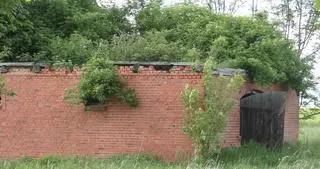 Garbno. Ruiny wyglądają jakby miały ostatecznie zostać rozsadzone przez żywioł zieleni