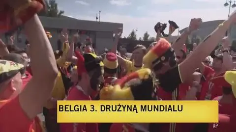 Belgijscy kibice świętują