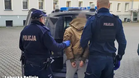 Z powodu "wewnętrznego impulsu" podpalił dziewięć aut