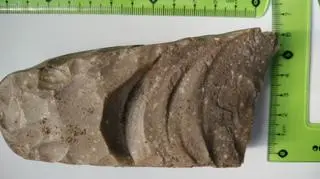 Fragment siekierki krzemiennej, strona dolna