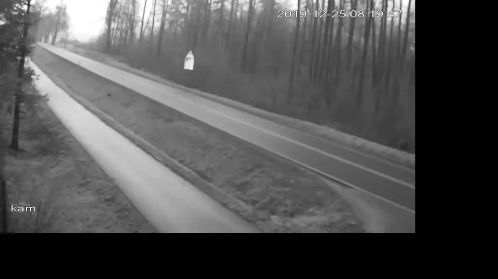 NVR_ch1_main_20191225081948_20191225082422_1