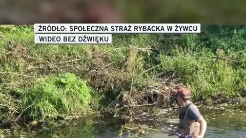 Społeczna Straż Rybacka w Żywcu