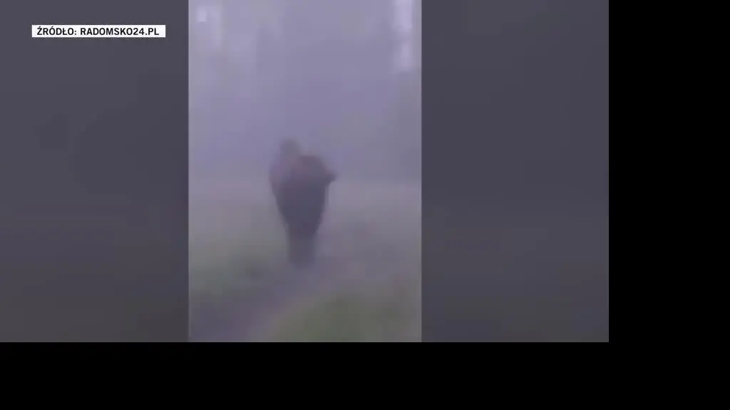 Radomsko24