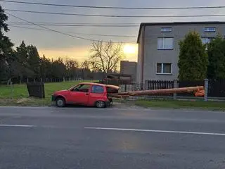 Kierowcy odebrano dowód rejestracyjny