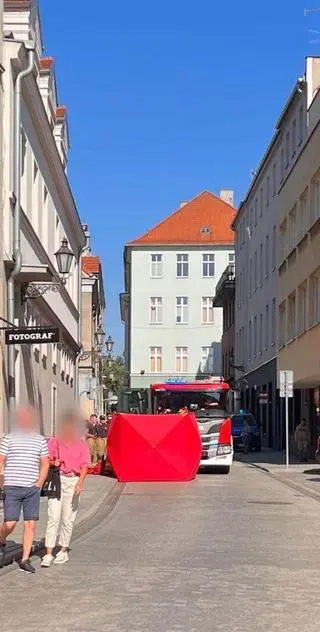 Pies wypadł z okna w Gliwicach