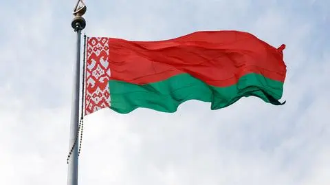 "Zarzucono nam działalność niezgodną ze statutem". Sąd likwiduje polską organizację