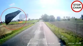 Klin uderzył w szybę ciężarówki