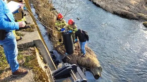 Śnięte ryby w rzece. Dzień wcześniej w sąsiedniej fabryce doszło do wycieku amoniaku 