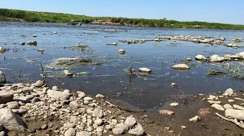 Spadki poziomu wody widać na brzegach 
