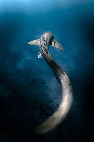 Emily Ledwidge, trzecia nagroda w kategorii Female Fifty Fathoms Award