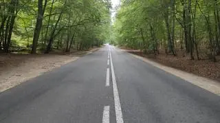 Ścieżka przebiega przez Woliński Park Narodowy