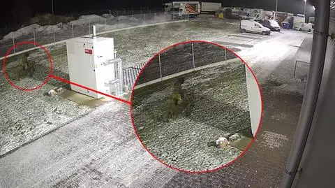 Człowiek-choinka przebił opony w 21 pojazdach