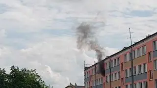 Na szczęście nikt nie ucierpiał
