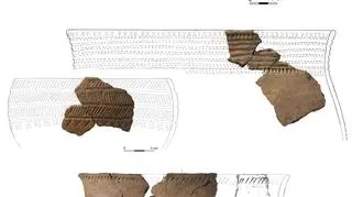 Fragmenty naczyń (2 poł. III tys. przed Chrystusem) odnalezione w trakcie badań wykopaliskowych 