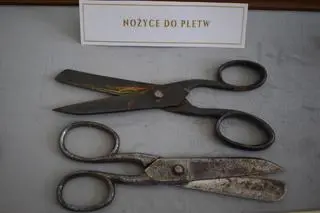 Nożyczki do obcinania rybich płetw