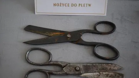 Nożyczki do obcinania rybich płetw