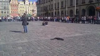 Tańce zaczęli belgijką, a skończyli polonezem