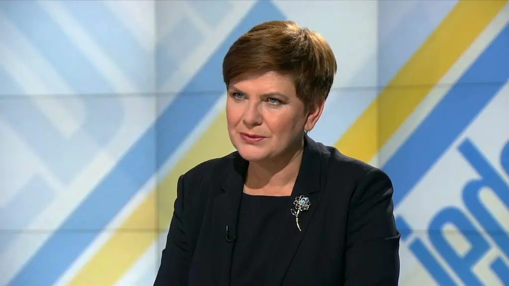 Premier Kopacz dokonała jednej rzeczy