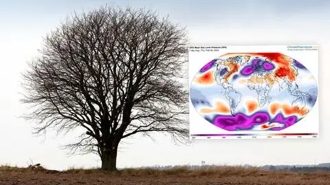 nize meteo sklej