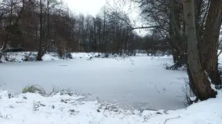 Dziewczynki wbiegły na zamarznięty staw, żeby złapać kota
