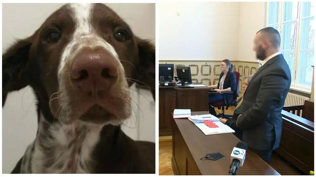 Bartosz D. skazany na więzienie