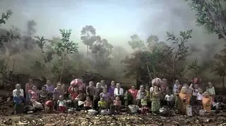 "The Missing Picture"