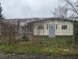 Pobliskie schronisko dla psów 