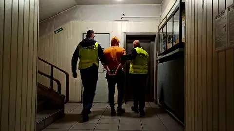 19-latek usłyszał zarzuty, grozi mu do pięciu lat więzienia