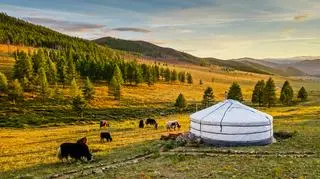 Mongolia