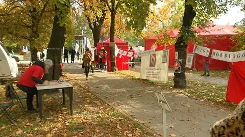 12 1105 czerwone miasteczko 2